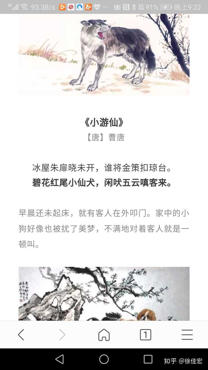 狗狗是人类的好朋友 为什么含有狗字的词如鸡鸣狗盗 狗腿子 痛打落水狗等等 没一个意义好的呢 知乎