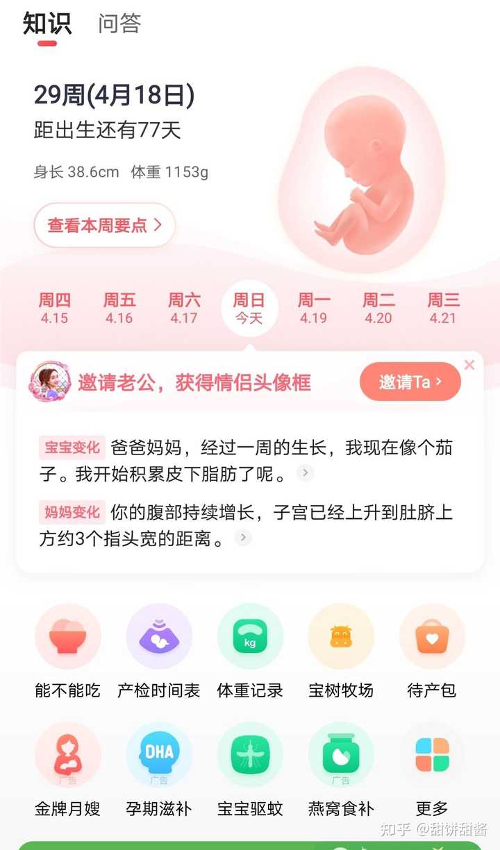 媳妇刚怀孕 需要注意什么 知乎