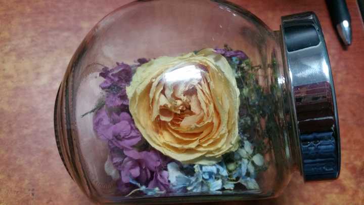 干花如何制作 知乎 干花如何制作 知乎