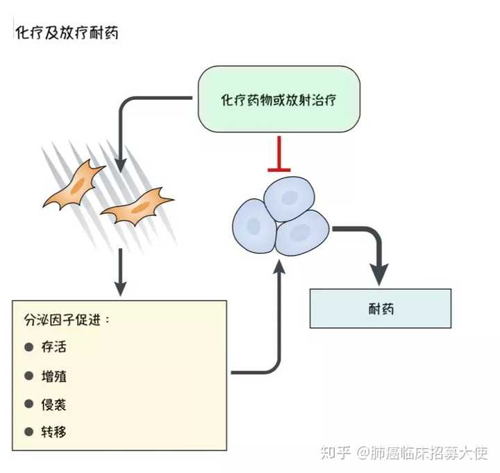 特异蛋白减压术的原理_多功能聚合物 药物二元体与细胞内的特异蛋白识别与活性调控原理图