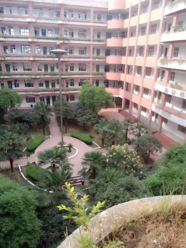 在南阳五中就读是怎样的一种体验?