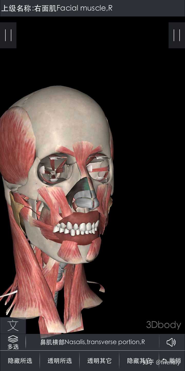 告诉大家(●°u°●) 」 我好菜(x_x;) 山根/鼻梁: 可以锻炼降眉间肌