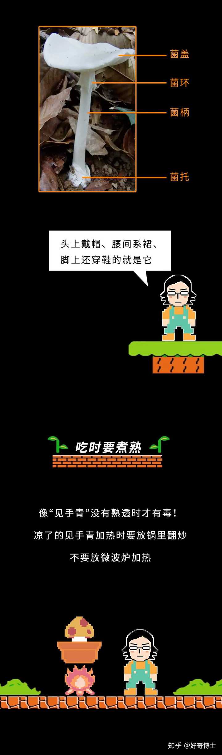 吃有毒菌类 毒蘑菇中毒后为什么会产生幻觉 而且往往是看到一群小人 知乎 吃有毒菌类 毒蘑菇中毒后为什么会产生幻觉 而且往往是看到一群小人 知乎