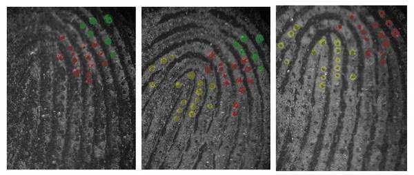 警察是如何提取 比对指纹的 知乎