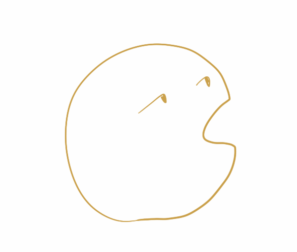 刘轩 的想法: procreate的动画好有趣! - 知乎