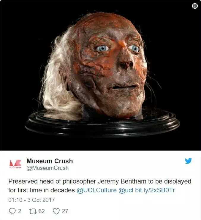 然后这是老校长的头.应评论要求高能预警一下