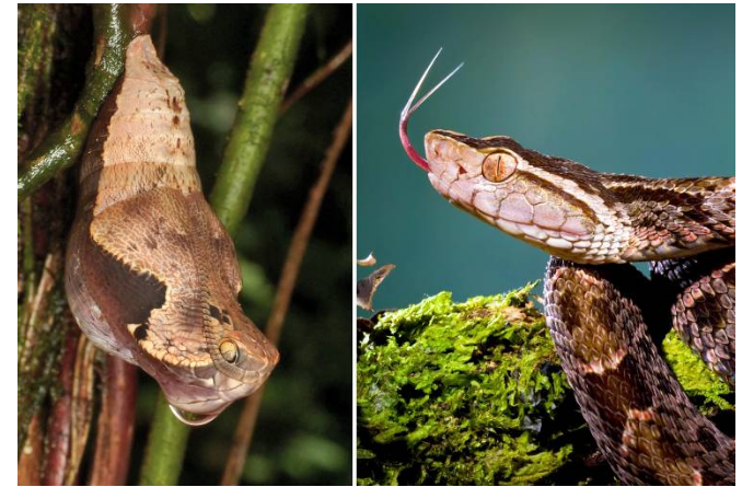 生物学中有哪些好玩的知识?