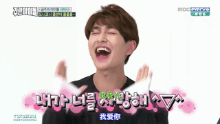 为什么shinee团魂这么好 还是有毒唯或者团婊 知乎