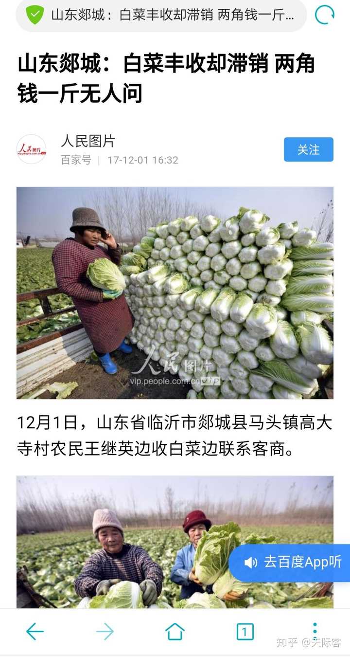 白菜亩产量多少斤 大白菜亩产2万斤栽培法 辣椒亩产量一般多少斤
