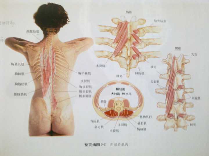 颈椎病的症状有哪些 知乎