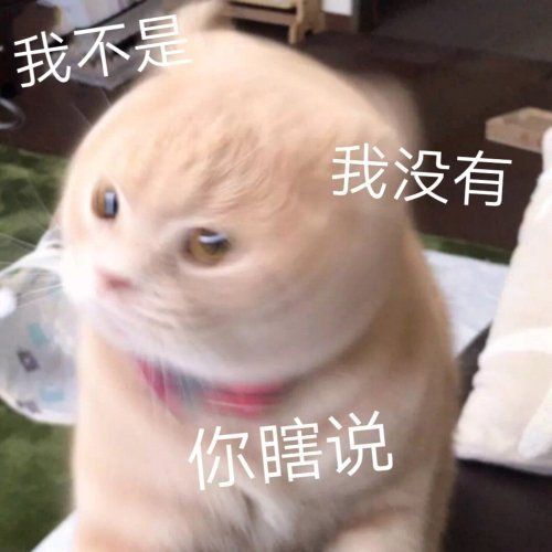 有什么可爱的文案?