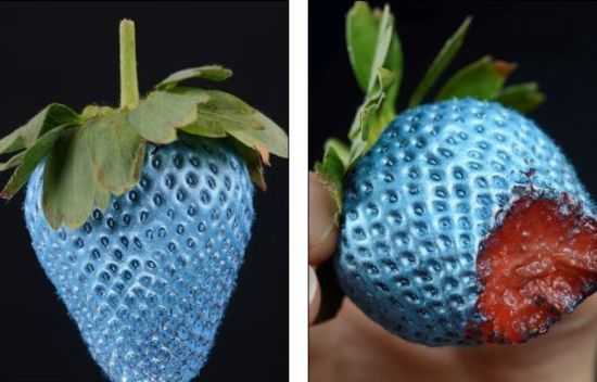 颜色对人的食欲有影响吗 知乎