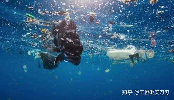 储物盒 收纳_箱盒柜即效收纳365招_健康化妆品收纳盒