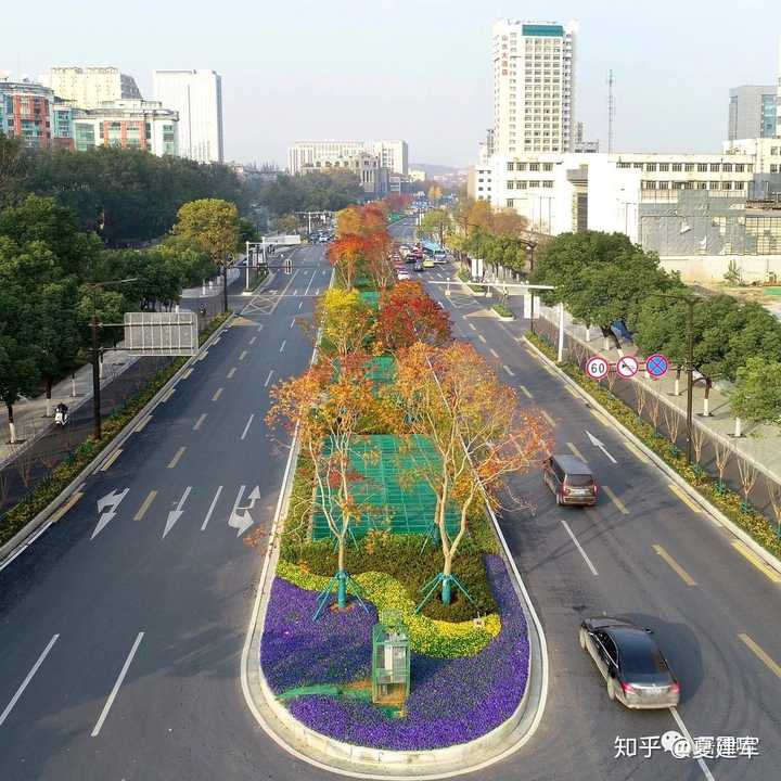 龙蟠中路