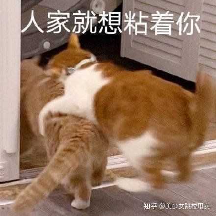 如何以u201c世人皆知我与三哥情投意合,大婚那日掀开盖头的却是四哥u201d写一个