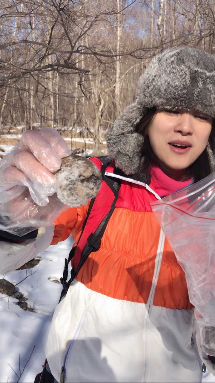 高级铲屎官,捡到一厥老虎屎