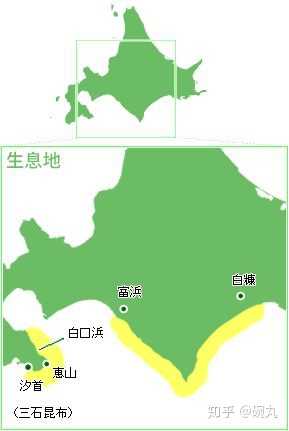 昆布和海带是一个东西吗 知乎