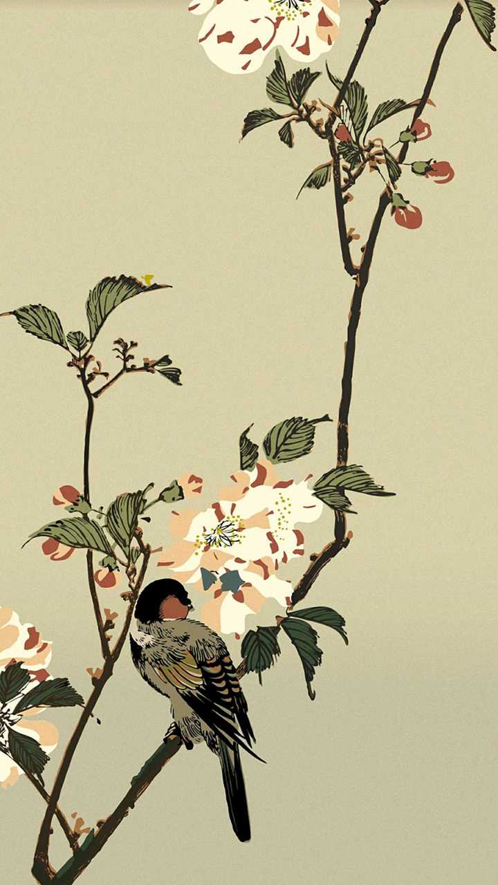 有没有比较独特的壁纸 例如蒸汽波 欧美动漫的酷girl等 知乎用户的回答 知乎