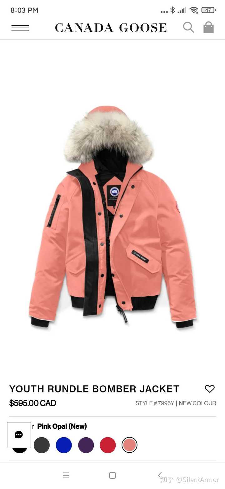 加拿大鹅有没有粉色