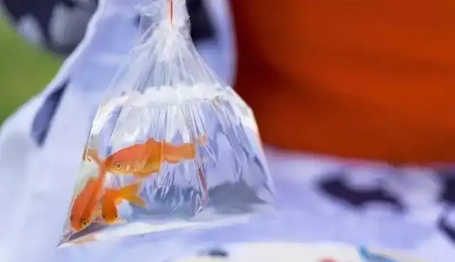 日语里有哪些很美的词 知乎