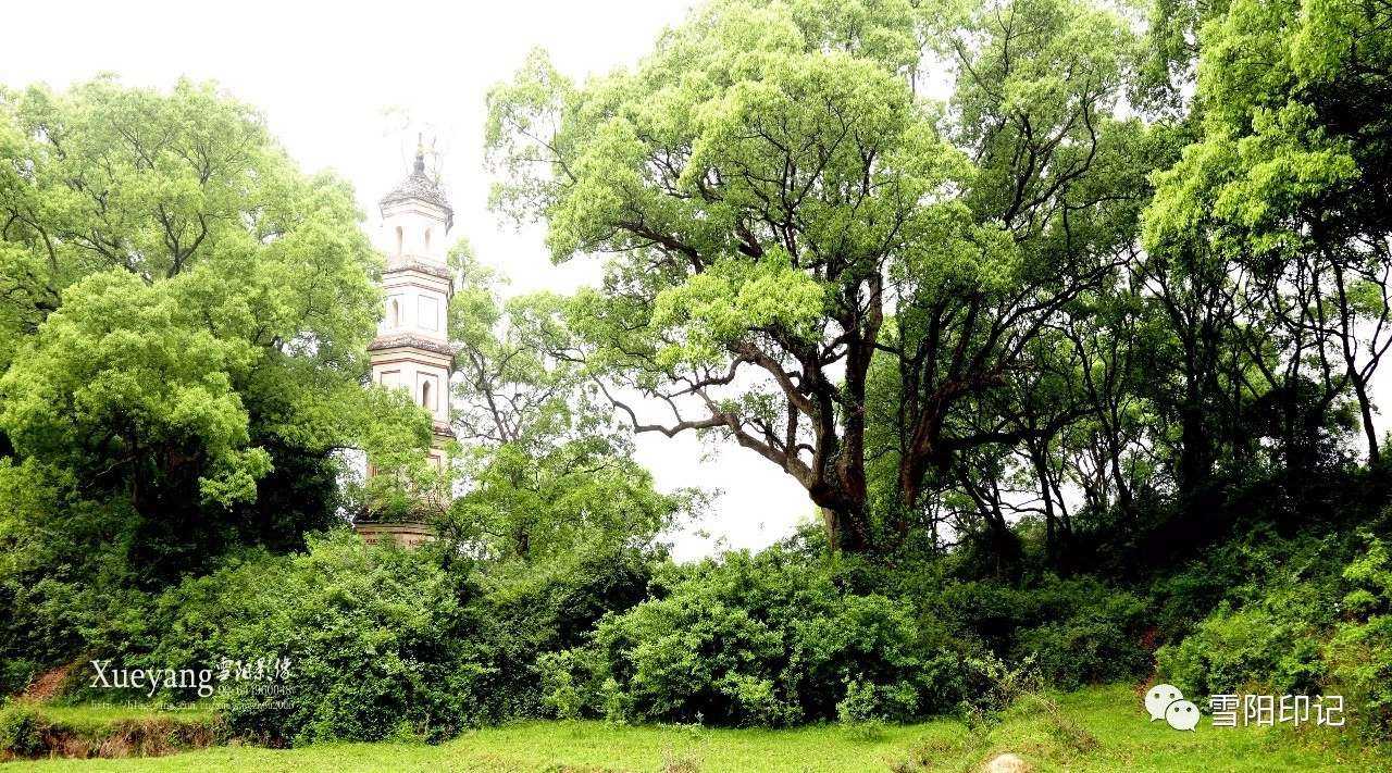 身边自然随手拍# #泰和县江畔古村