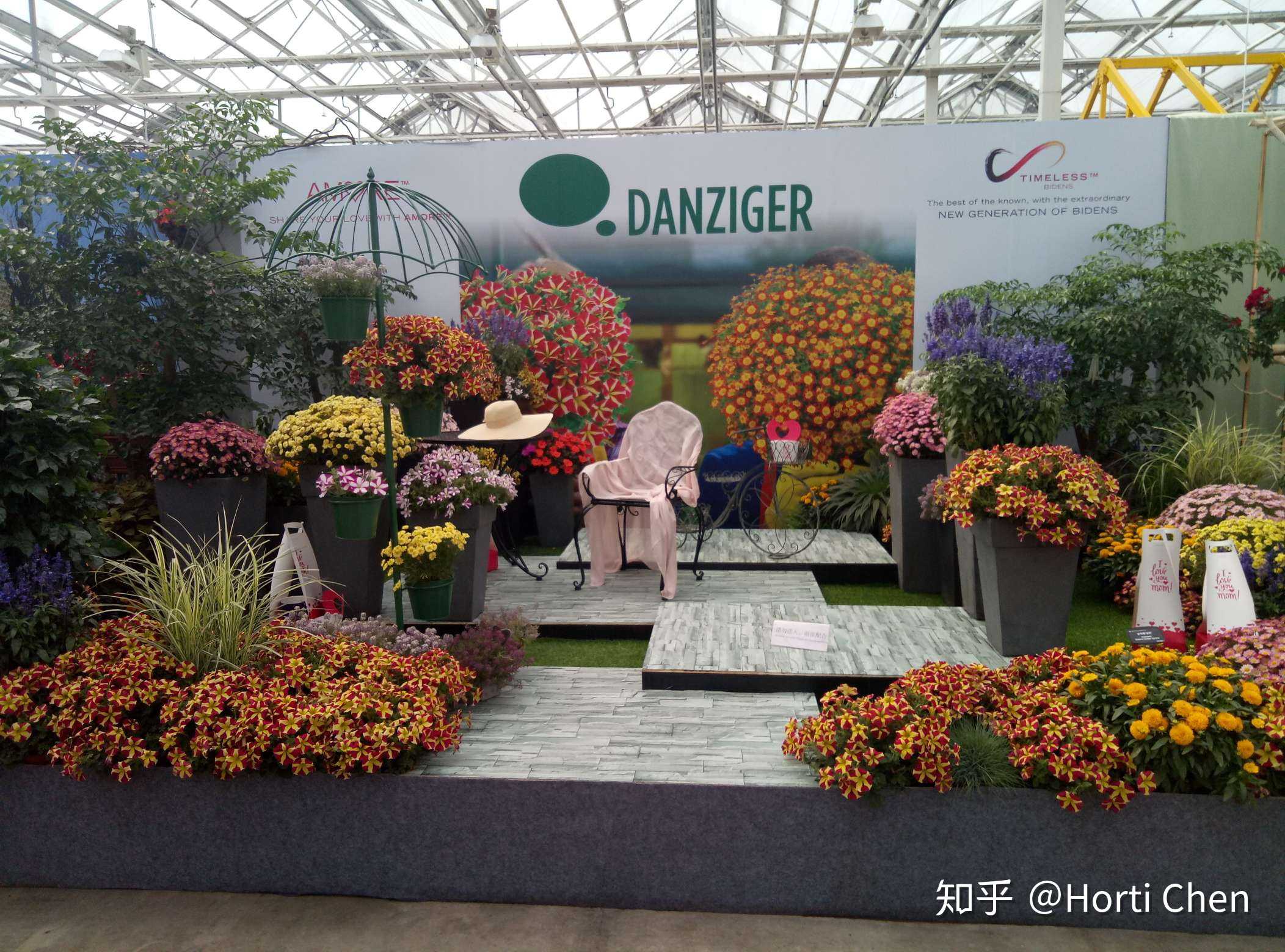 今年看过的最棒的花展了