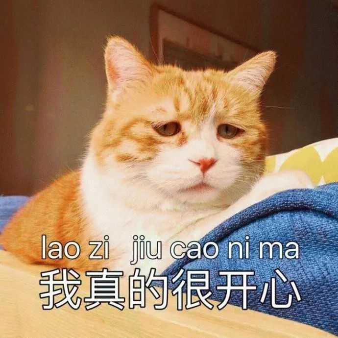 如何自学一门小语种语言 知乎