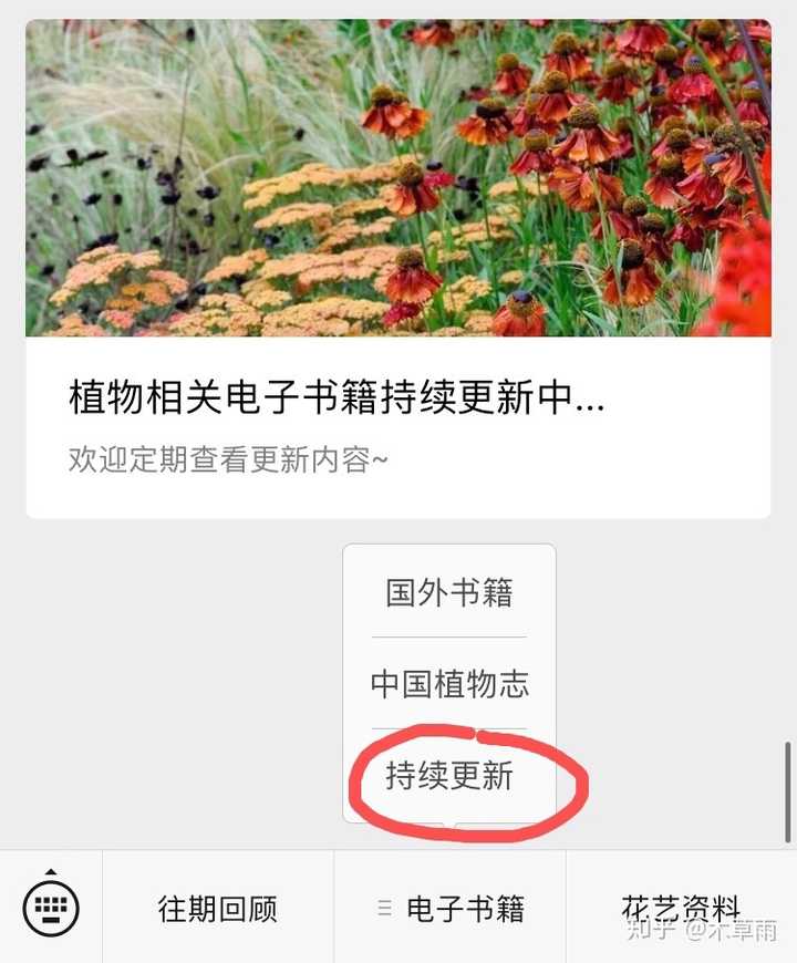 有哪些适合家里种的香味植物 知乎