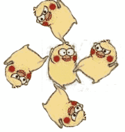 玻尿酸小黄鸭的表情包在哪找?