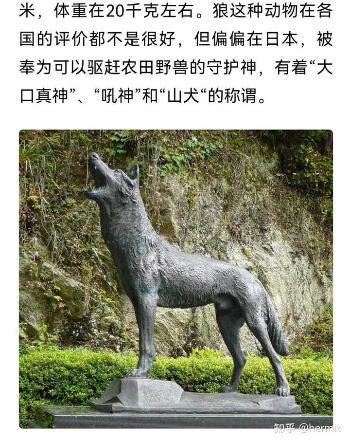 如何评价 海贼王 10 话情报 知乎