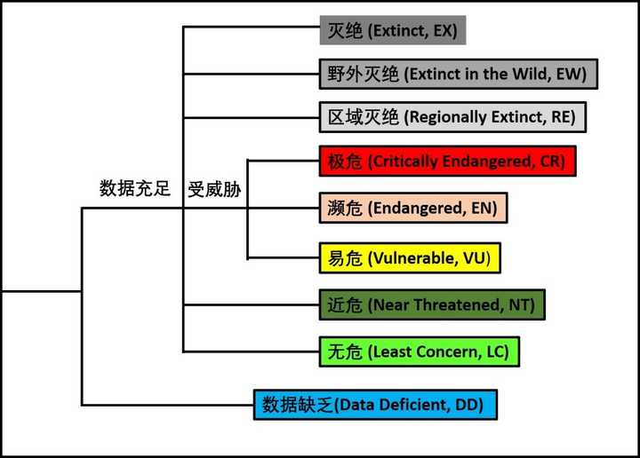 iucn红色名录图片