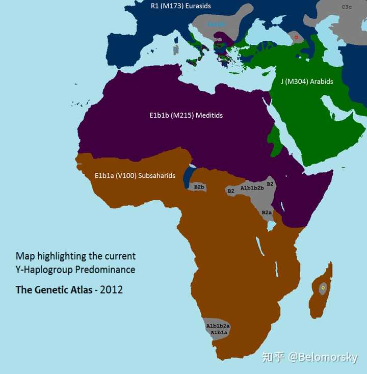 人类都起源自非洲吗?