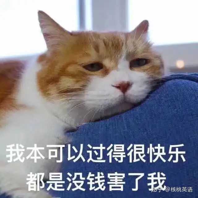 在哥伦比亚大学 Columbia University 就读是怎样一番体验 知乎 在哥伦比亚大学 Columbia University 就读是怎样一番体验 知乎
