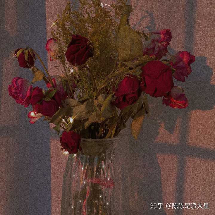 有哪些 第一次读到便为之震撼 的文艺句子 知乎 有哪些 第一次读到便为之震撼 的文艺句子 知乎