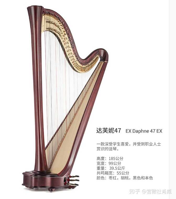 初学竖琴怎样选购 哪里可以学 知乎 初学竖琴怎样选购 哪里可以学 知乎