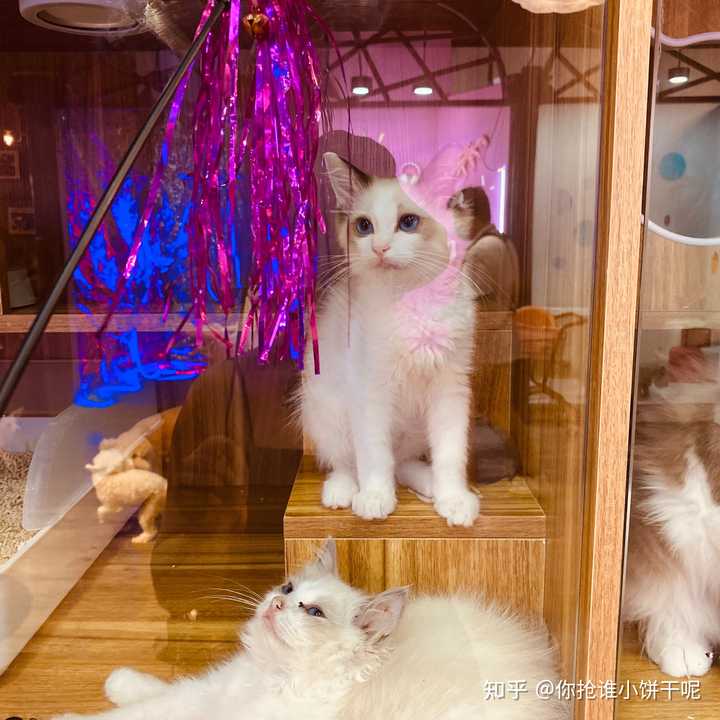 暗示被绿图片 暗示别人被绿的图片 聊天暗示被绿图片