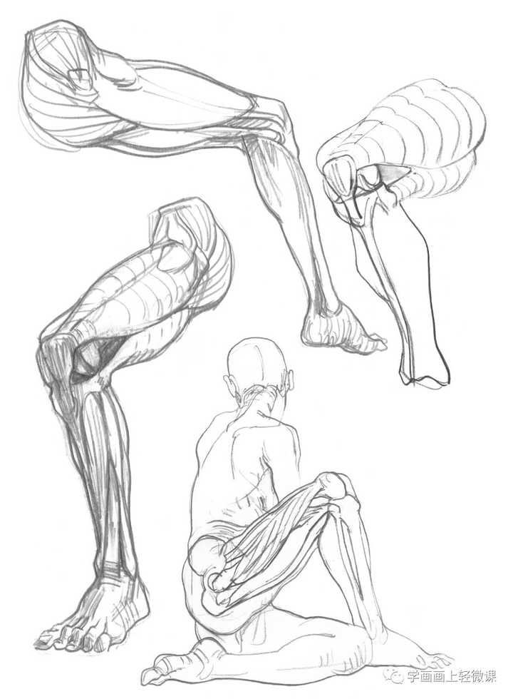 到上下肢和整体视觉,从多种角度,不同维度来表现人体各部分的形态!