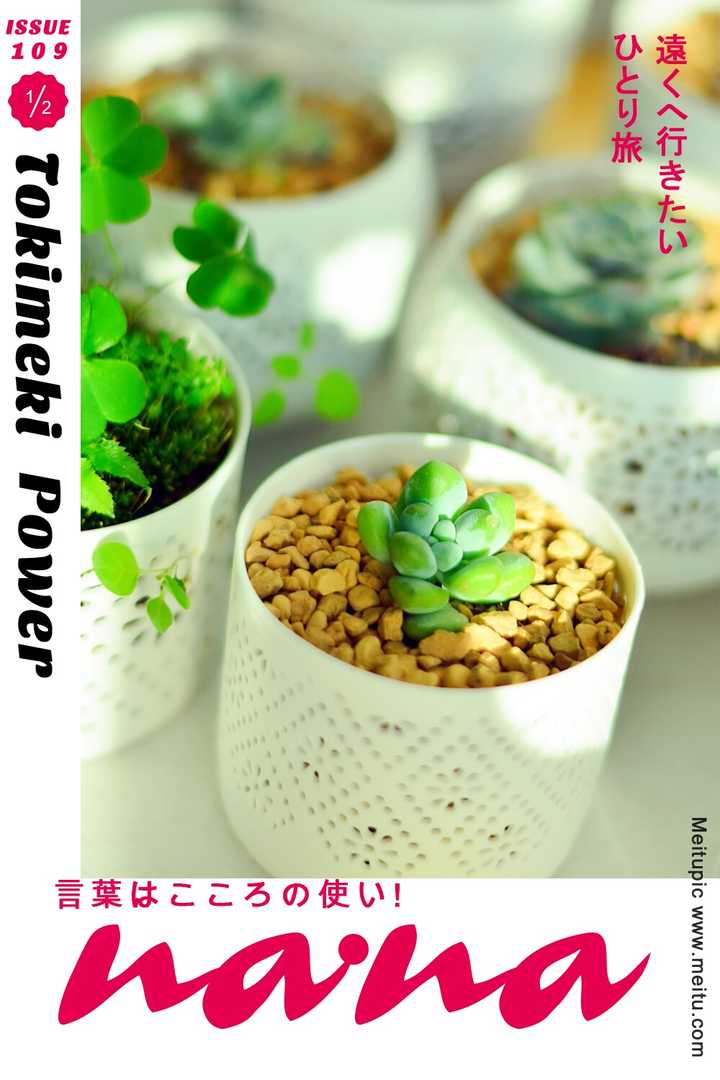 多肉要怎么叶插 知乎 多肉要怎么叶插 知乎