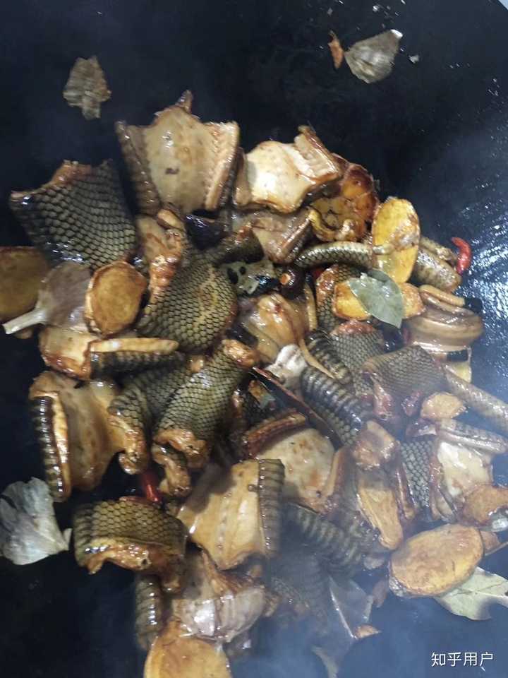 吃蛇是一种什么样的体验?