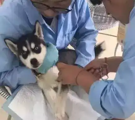 体检前有什么要注意的吗 知乎 体检前有什么要注意的吗 知乎