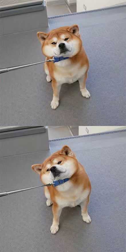 有一个很傻又可爱,脑洞大的逗比女朋友或者女性朋友是一种什么体验?