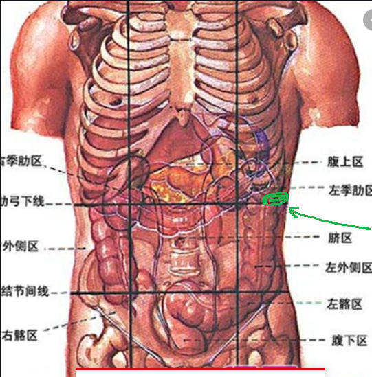 肋骨末端及下方疼痛 身体左侧肋骨下突然疼 Urpimp网