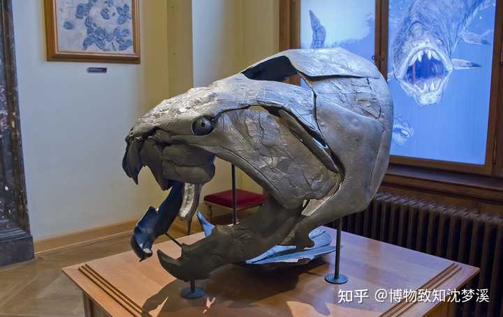 在地球的几十亿年历史上 发生过哪些全球级别的自然事件 知乎