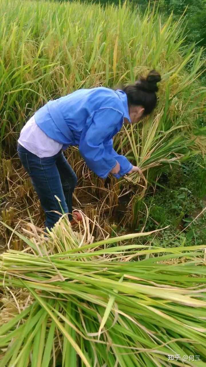 高中时素颜就好看的女生长大化妆后岂不是逆天吗?