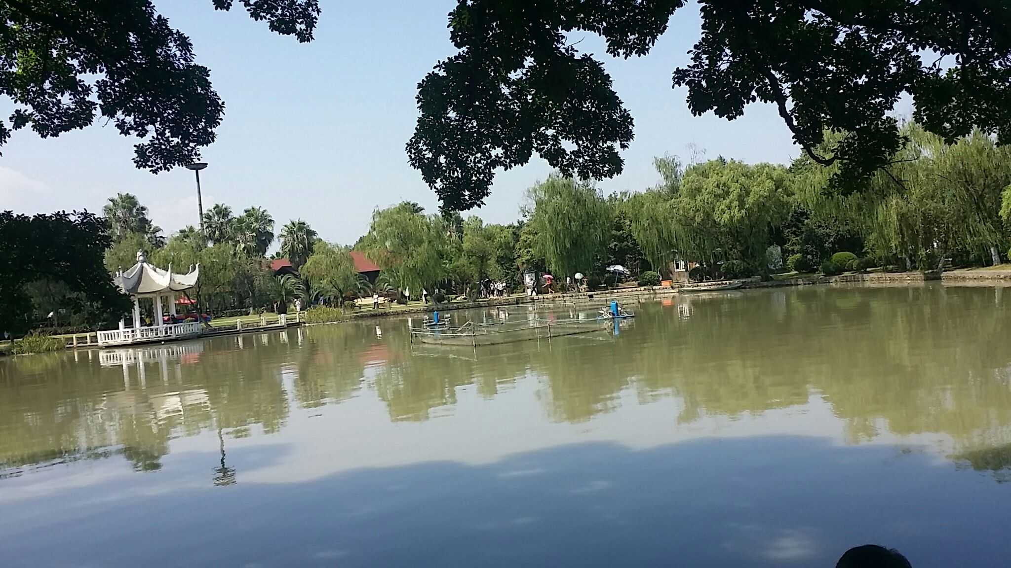 温州江心屿的共青湖优美的景色