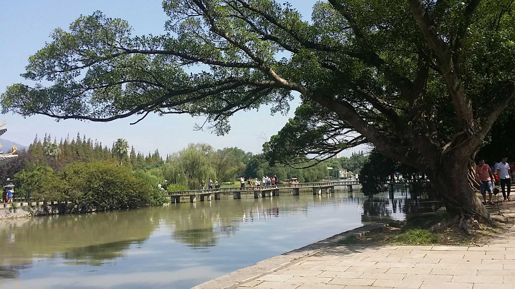 温州江心屿的共青湖优美的景色