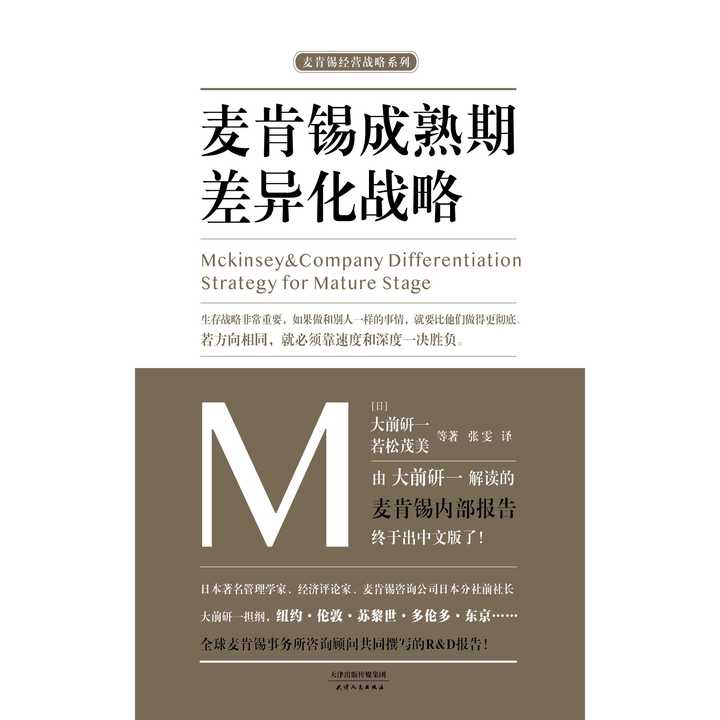 麦肯锡成熟期差异化战略书籍