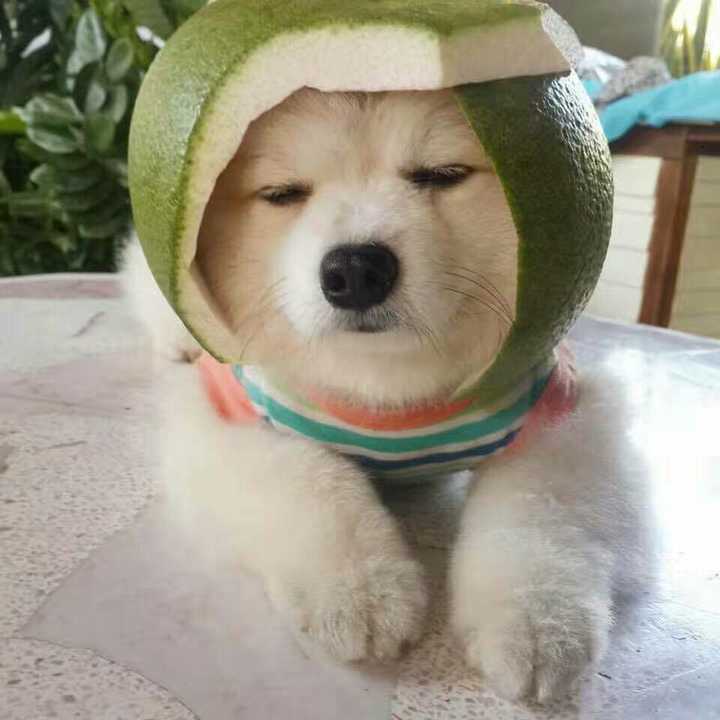 你见过哪些过分的地图炮?