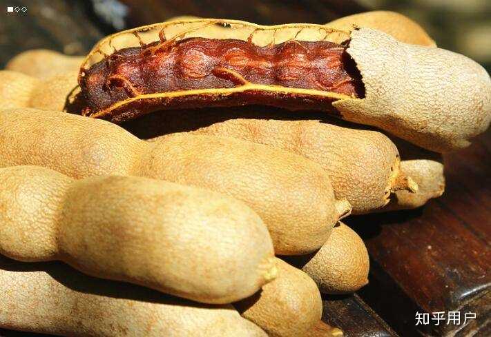 海南岛有什么特殊的或者是奇特的水果