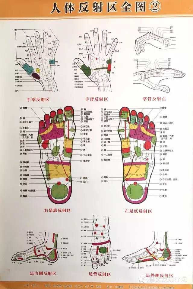 足底反射区真的有吗 知乎